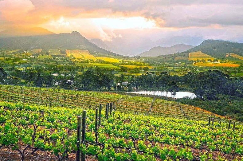 Stellenbosch Wine Route